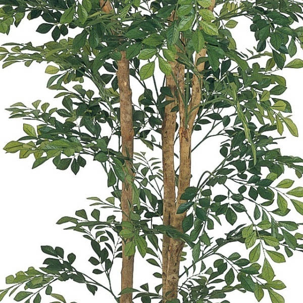 人工観葉植物 トネリコ 150cm 高さ150cm （P207-sk1045) （代引き不可） インテリアグリーン フェイクグリーン_1