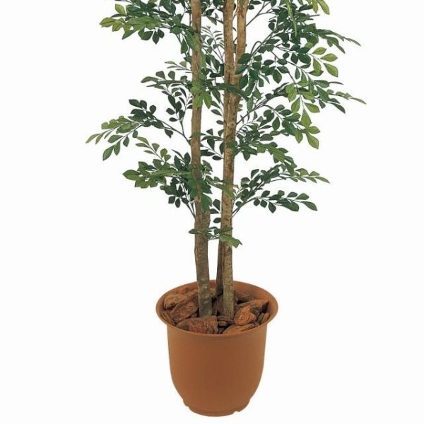 人工観葉植物 トネリコ 150cm 高さ150cm （P207-sk1045) （代引き不可） インテリアグリーン フェイクグリーン_2