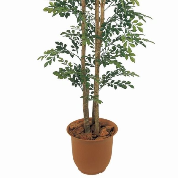 人工観葉植物 トネリコ 180cm 高さ180cm （P207-sk1048) （代引き不可） インテリアグリーン フェイクグリーン_2