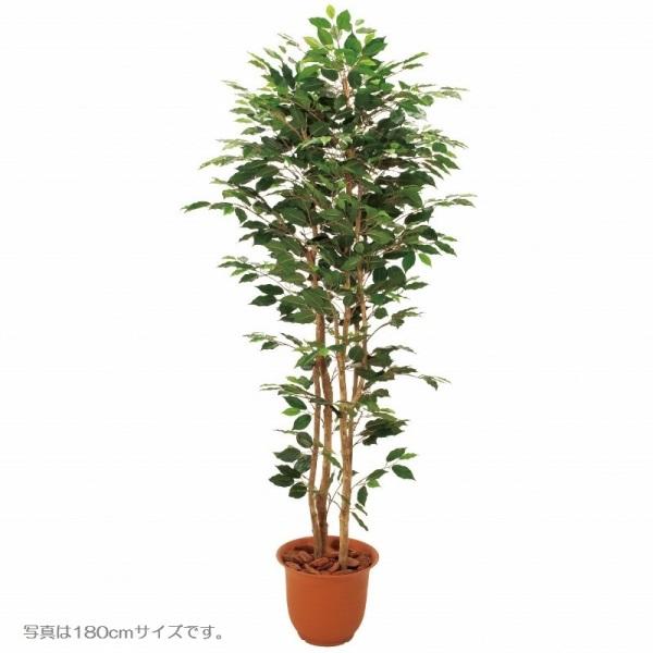 人工観葉植物 ベンジャミン3本立 150cm 高さ150cm （P207-sk1095) （代引き不可） インテリアグリーン フェイクグリーン