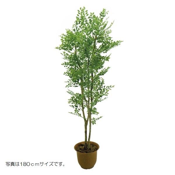 人工観葉植物 ゴールデンリーフ 150cm 高さ150cm （P207-sk2005) （代引き不可） インテリアグリーン フェイクグリーン
