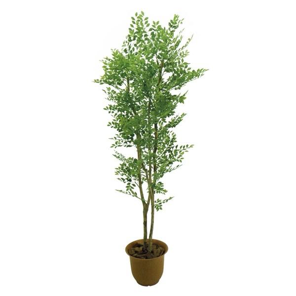 人工観葉植物 ゴールデンリーフ 180cm 高さ180cm （P207-sk2008) （代引き不可） インテリアグリーン フェイクグリーン