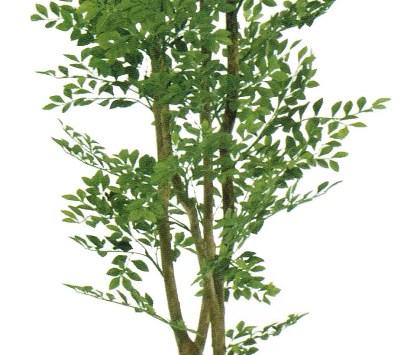 人工観葉植物 ゴールデンリーフ 180cm 高さ180cm （P207-sk2008) （代引き不可） インテリアグリーン フェイクグリーン_2