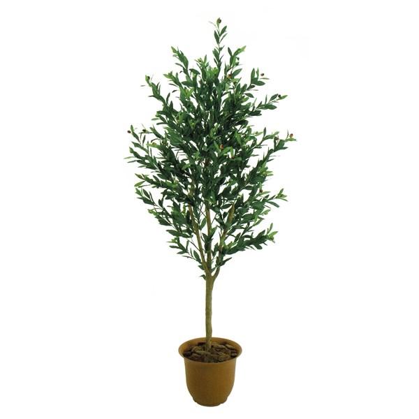 人工観葉植物 オリーブ 180cm 高さ180cm （P207-sk3008) （代引き不可） インテリアグリーン フェイクグリーンの通販は