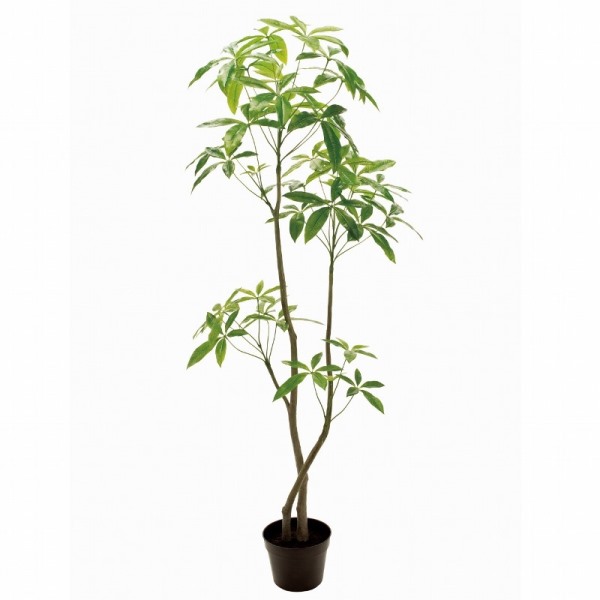 人工観葉植物 パキラ 6F 光触媒加工 高さ180cm （P199-zv12100) （代引き不可） インテリアグリーン フェイクグリーン