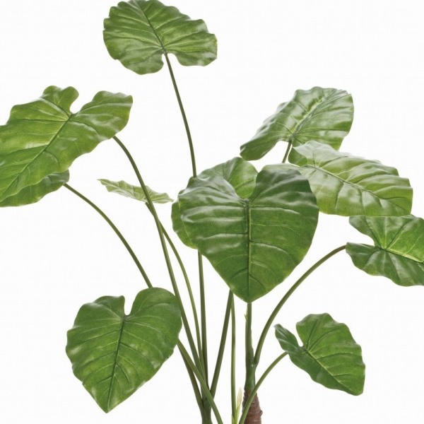 人工観葉植物 クワズイモ 光触媒加工 高さ100cm （P192-zv13000) （代引き不可） インテリアグリーン フェイクグリーン_1