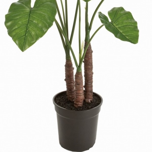 人工観葉植物 クワズイモ 光触媒加工 高さ100cm （P192-zv13000) （代引き不可） インテリアグリーン フェイクグリーン_2