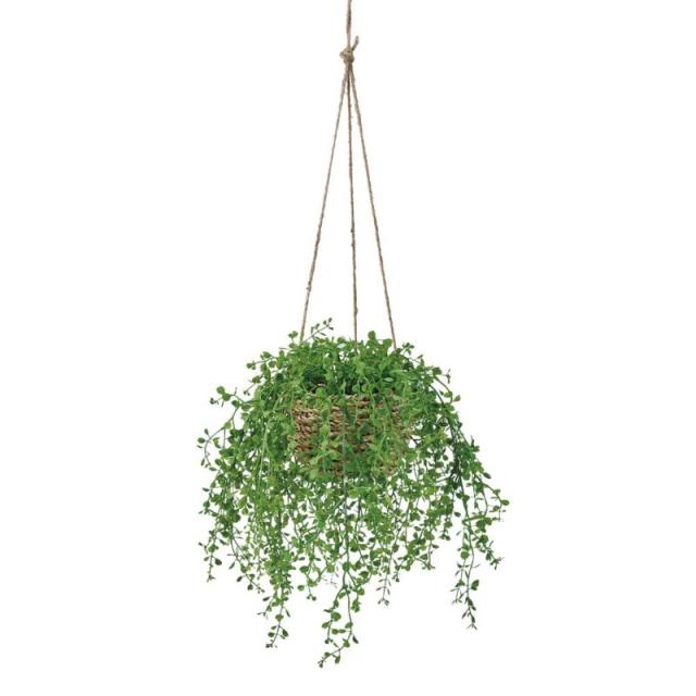 人工観葉植物 ベビーティアーズ ハンギング 高さ30cm （P188-zv133) （代引き不可） インテリアグリーン フェイクグリーン