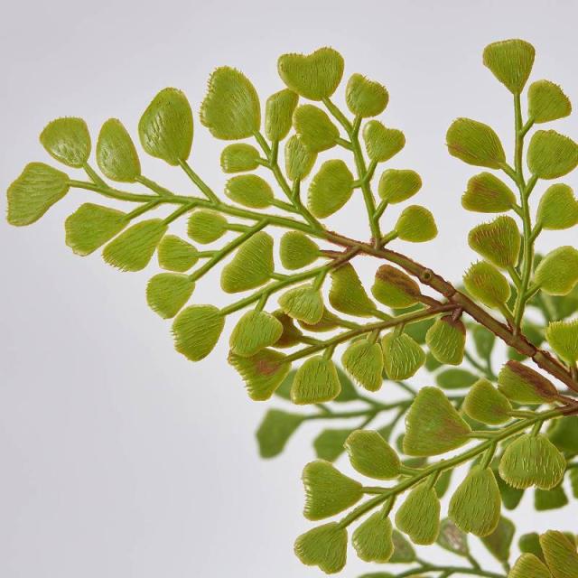人工観葉植物 アジアンタム ポット 光触媒加工 高さ30cm （P191-zv1491) （代引き不可） インテリアグリーン フェイクグリーン_1