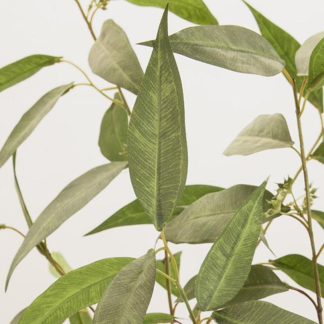 人工観葉植物 シルバーユーカリー ポット 光触媒加工 高さ150cm （P200-zv1668) （代引き不可） インテリアグリーン フェイクグリーン_1