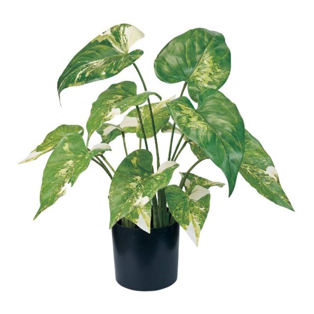 人工観葉植物 シンゴニューム斑入り ポット 光触媒加工 高さ37cm （P191-zv175) （代引き不可） 鉢カバー ディスプレイの通販は 6,400円