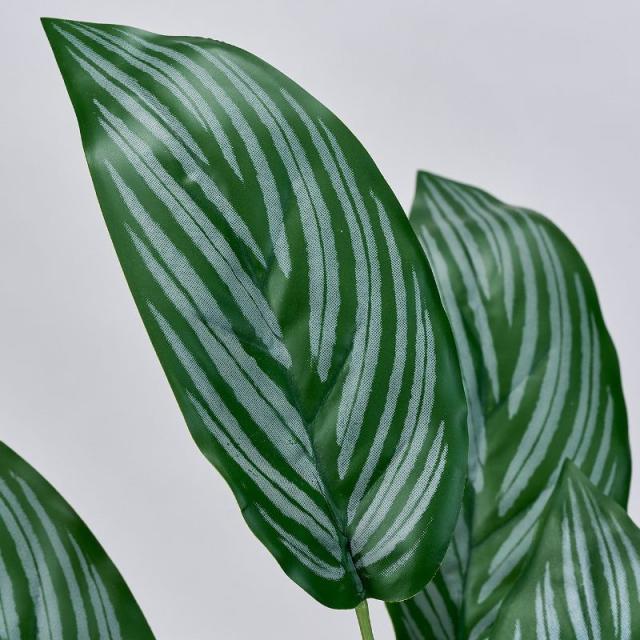 人工観葉植物 アグラオネマリリアン 光触媒加工 高さ45cm （P191-zv1856) （代引き不可） インテリアグリーン フェイクグリーン_1