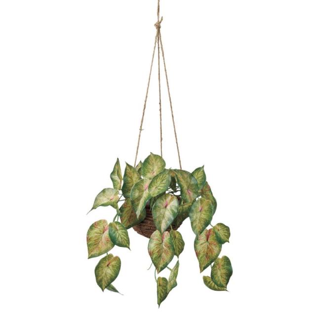 人工観葉植物 カラードアンスリウム ハンギング 光触媒加工 高さ30cm （P189-zv2011) （代引き不可） インテリアグリーン フェイクグリーン