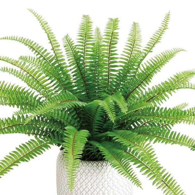 人工観葉植物 タマシダ ポットL 光触媒加工 高さ30cm （P190-zv242) （代引き不可） インテリアグリーン フェイクグリーン_1