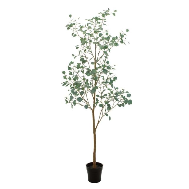 人工観葉植物 ユーカリブランチ ポット L 光触媒加工 高さ210cm （P195-zv307772) （代引き不可） インテリアグリーン フェイクグリーン