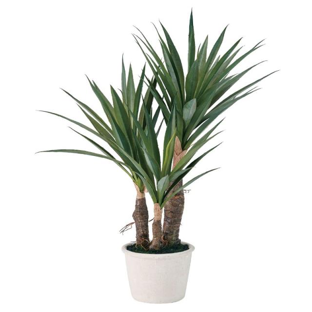 人工観葉植物 ユッカ ミニポット 光触媒加工 高さ50cm （P192-zv3293) （代引き不可） インテリアグリーン フェイクグリーン 11,400円