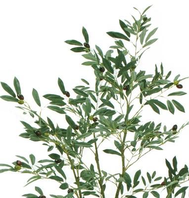 人工観葉植物 オリーブツリーポット 5F 光触媒加工 高さ150cm （P200-zv3910) （代引き不可） インテリアグリーン フェイクグリーン_1