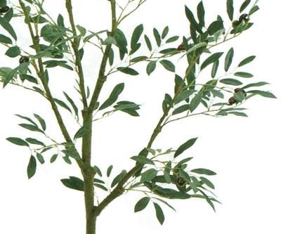 人工観葉植物 オリーブツリーポット 5F 光触媒加工 高さ150cm （P200-zv3910) （代引き不可） インテリアグリーン フェイクグリーン_2