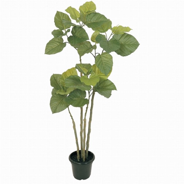 人工観葉植物 ウンベラータ 4F 光触媒加工 高さ120cm （P198-zv5228) （代引き不可） インテリアグリーン フェイクグリーン