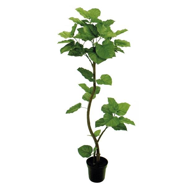 人工観葉植物 ウンベラータスパイラル 5F 光触媒加工 高さ150cm （P198-zv5229) （代引き不可） インテリアグリーン フェイクグリーンの通販は