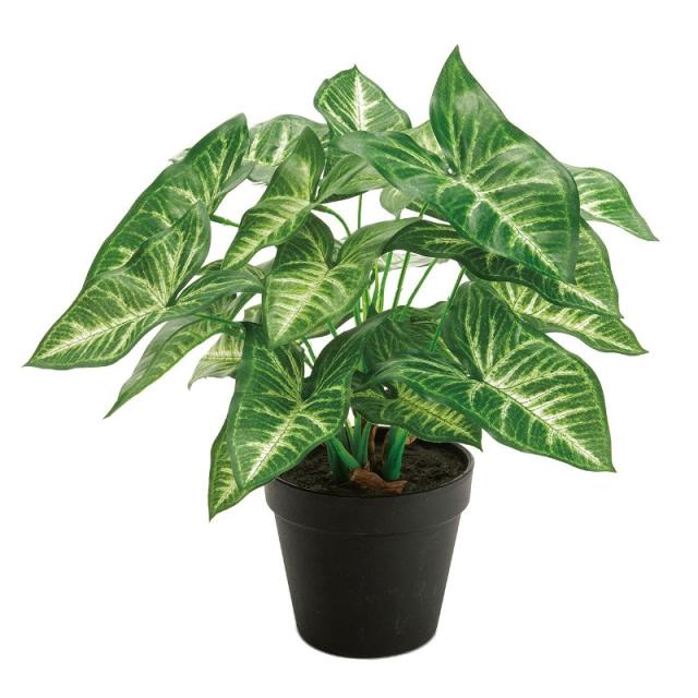人工観葉植物 シンゴニューム ポット 光触媒加工 高さ32cm （P191-zv550) （代引き不可） インテリアグリーン フェイクグリーン