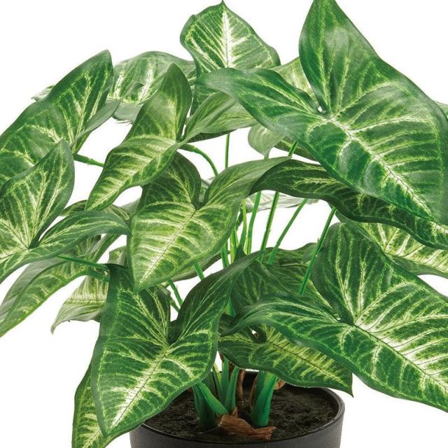 人工観葉植物 シンゴニューム ポット 光触媒加工 高さ32cm （P191-zv550) （代引き不可） インテリアグリーン フェイクグリーン_1