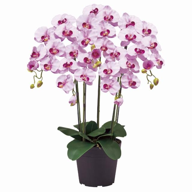 フェイクグリーン ピュアオーキッド5本立（ファレノ） ラベンダー 光触媒加工 高さ70cm （P217-zv6100-50) （代引き不可） 造花 胡蝶蘭