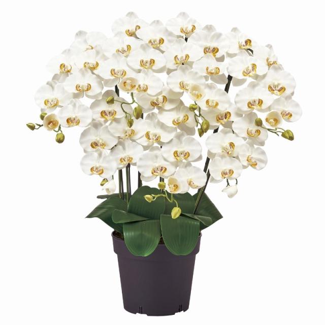 フェイクグリーン ピュアオーキッド7本立（ファレノ） クリームホワイト 光触媒加工 高さ75cm （P217-zv6200-1) （代引き不可） 造花 胡蝶蘭