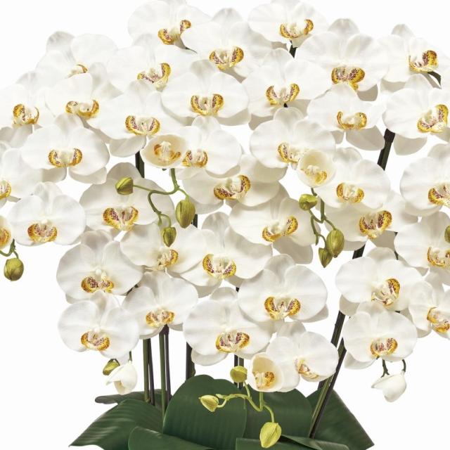 光触媒　人工観葉植物　フェイクグリーン　胡蝶蘭　ピュアオーキッド2本立ホワイト 光触媒 人工観葉植物 フェイクグリーン 胡蝶蘭 ピュアオーキッド2本立