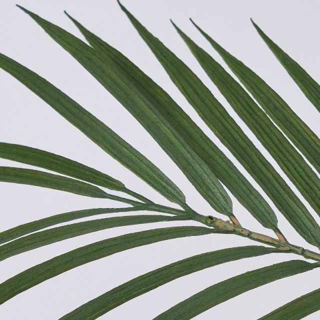 人工観葉植物 ワイルドパーム ポット 光触媒加工 高さ180cm （P205-zv661) （代引き不可） インテリアグリーン フェイクグリーン_1