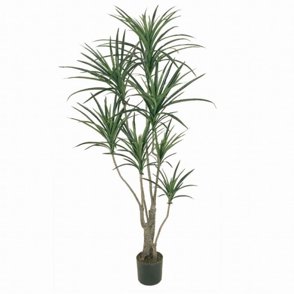 人工観葉植物 ユッカポット S 光触媒加工 高さ130cm （P203-zv7649) （代引き不可） インテリアグリーン フェイクグリーン