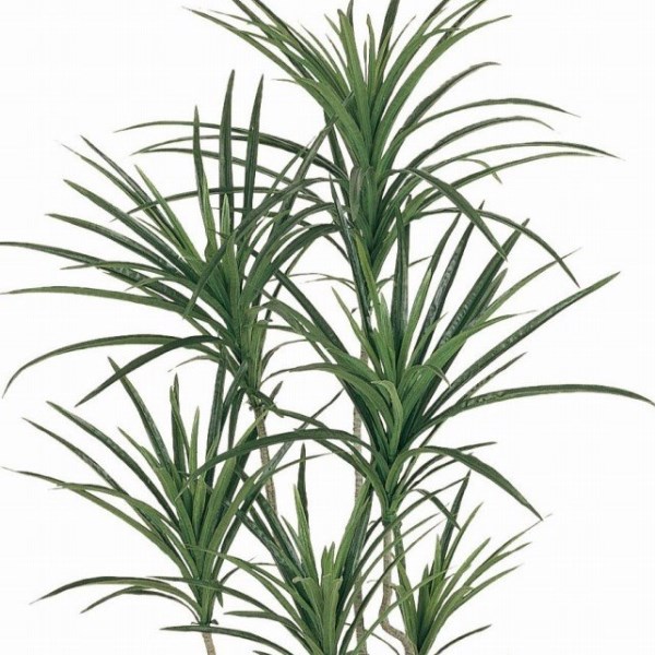 人工観葉植物 ユッカポット S 光触媒加工 高さ130cm （P203-zv7649) （代引き不可） インテリアグリーン フェイクグリーン_1