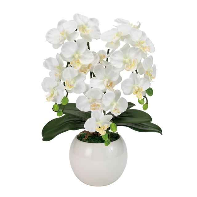フェイクグリーン ピュアオーキッド3本立（ファレノミリー） ホワイト 光触媒加工 高さ40cm （P216-zv8070-1) （代引き不可） 造花 胡蝶蘭の通販は 14,720円
