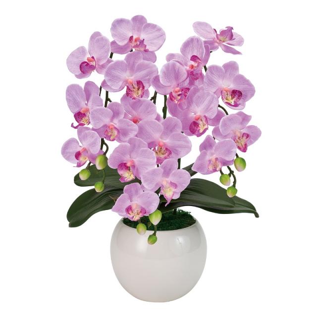 フェイクグリーン ピュアオーキッド3本立（ファレノミリー） ライラック 光触媒加工 高さ40cm （P216-zv8070-50) （代引き不可） 造花 胡蝶蘭の通販は 14,720円