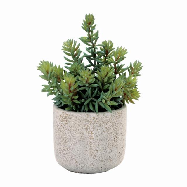 人工観葉植物 セダム ポット 光触媒加工 高さ23cm （P190-zv8143) （代引き不可） インテリアグリーン フェイクグリーン