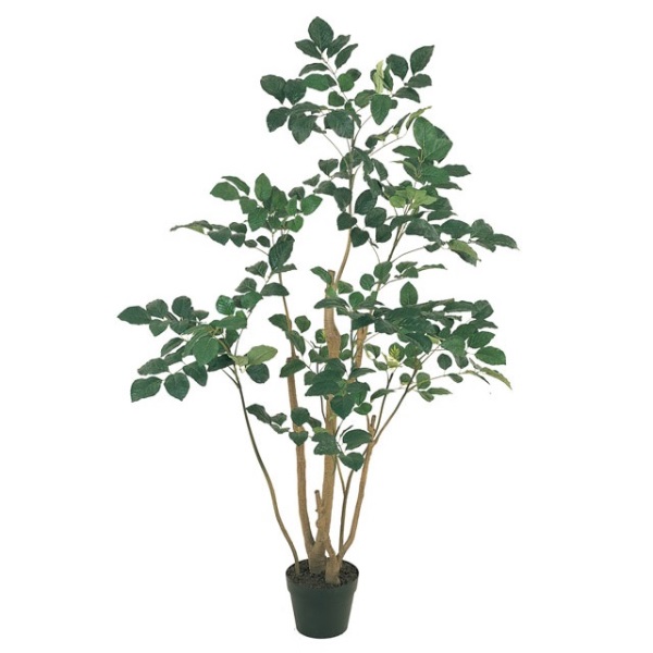 人工観葉植物 ポリシャス ポットM 光触媒加工 高さ150cm （P201-zv88210) （代引き不可） インテリアグリーン フェイクグリーン