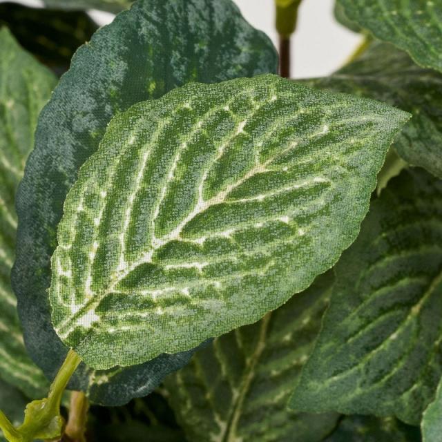 人工観葉植物 フィットニア ポット 光触媒加工 高さ22cm （P190-zv9019) （代引き不可） インテリアグリーン フェイクグリーンの通販は