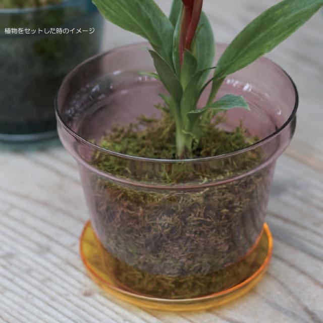 花・観葉植物用ポット ブローグラスポット 11 パープル/イエロー glass （2個入り） 93109 受皿付き （代引き不可） ミニポット プランター FARM （p129）