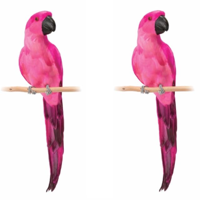 ガーデン インテリア ピンク パロット 50 accessory （2個入り） 48006 decoation （代引き不可） ガーデン雑貨 FARM （p313）の通販は 9,380円