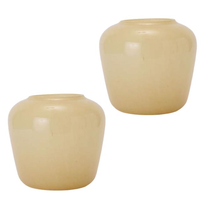 花・観葉植物用ポット エリサ 18 glass (2個入り) 93209 花瓶 (代引き不可) 小型サイズ フラワーベース FARM (p289)