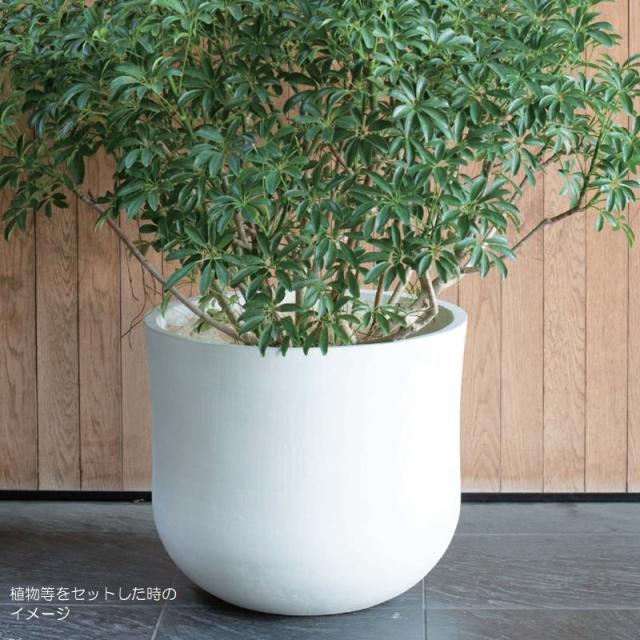 花・観葉植物用ポット アユラニ ライレイ M 42/A（1個入り）ay-002w42n [KTp123] 中型鉢カバー （代引き不可）ホテル・オフィスビル・店舗 インテリア エクステリア_2