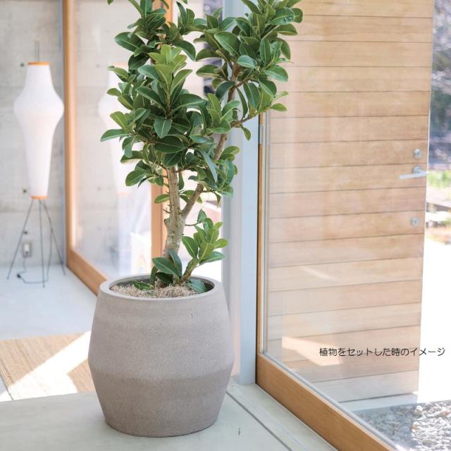 花・観葉植物用ポット ファイバーストーン パボ ジャー M 36/A オフ