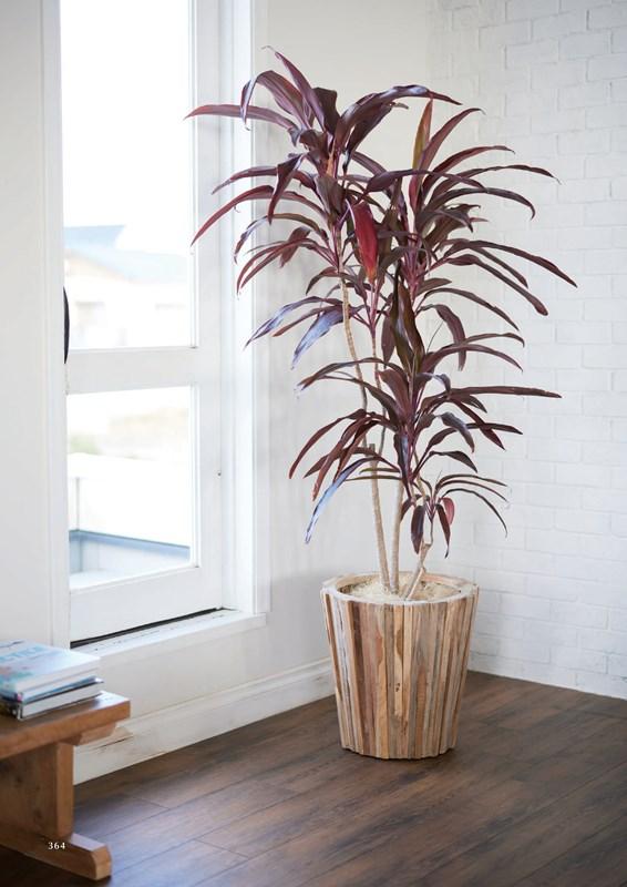 花・観葉植物用ポット ナチュラルウッド チークウッド コニック S 35/A（1個入り）tk-001x35e [KTp393] 中型ポット （代引き不可）ホテル・オフィスビル・店舗 インテリア ディスプレイ_1