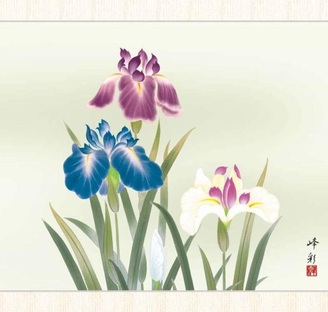 日本画 園田峰彩 菖蒲（しょうぶ） F8 花鳥画 夏飾り [g4-bk109-F8