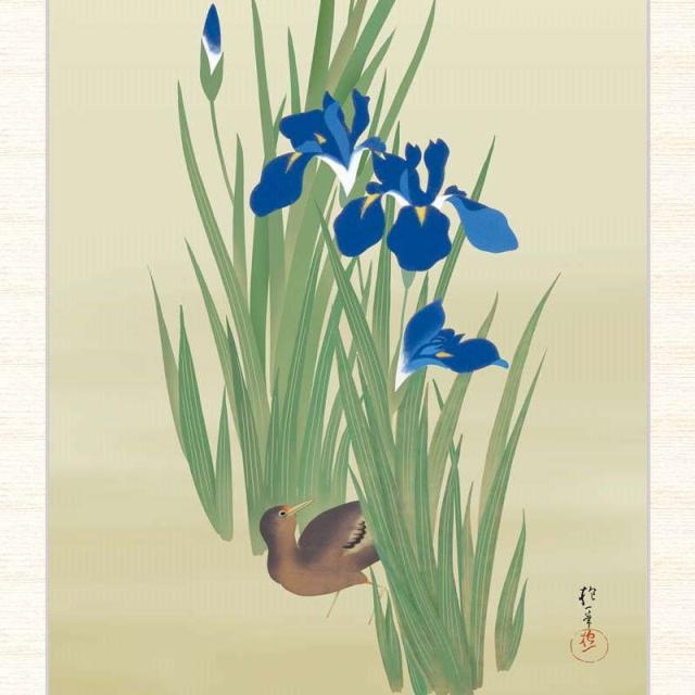 日本の名画 酒井抱一 燕子花に水鶏図（かきつばたにくいなず） F8 [g4-