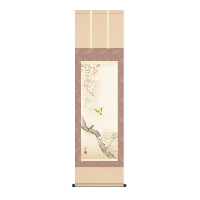 掛軸 [花鳥画]春掛け 【桜花に小鳥】 [尺三] [西尾香悦] [KZ1MA6-35A](代引き不可)