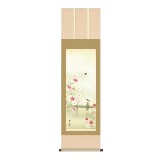 掛軸 [花鳥画]秋掛け 【秋桜】 [尺三] [西尾香悦] [KZ1MA6-35C](代引き不可)