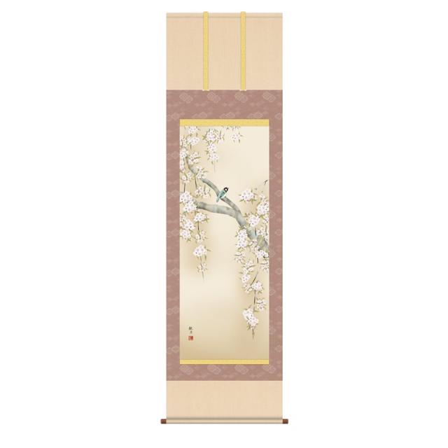 掛軸 [花鳥画]春掛け 【桜花に小鳥】 [尺五] [森山観月] [KZ2A2-085](代引き不可)