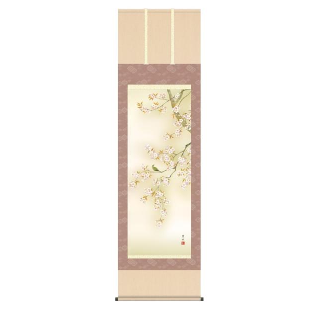 掛軸 [花鳥画]春掛け 【桜花に小鳥】 [尺五] [緒方葉水] [KZ2A6-33A](代引き不可)