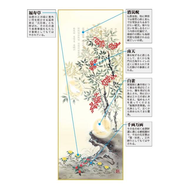 掛軸 [開運画]開運花鳥 【消災南天白雀図】 [尺五] [久我直哉] [KZ2D5-003](代引き不可)